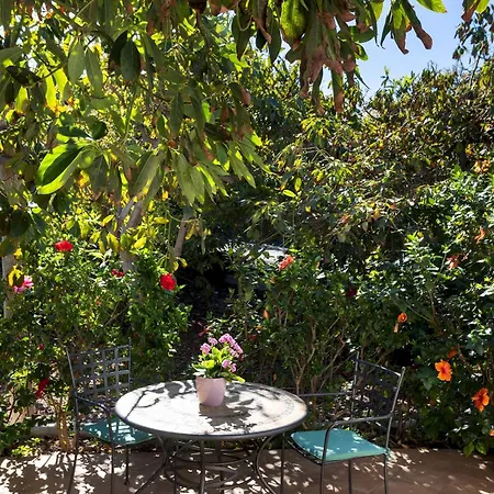 Home2book Charming Juanita Among Avocados 샬레