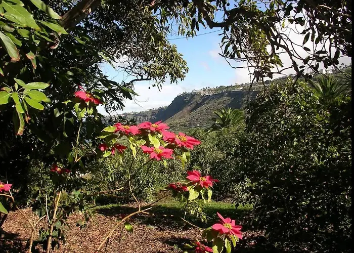 Home2book Charming Juanita Among Avocados La Orotava