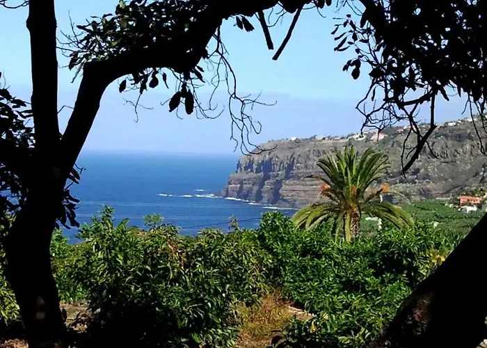 シャレー Home2book Charming Juanita Among Avocados *