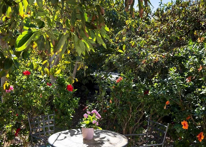 Home2book Charming Juanita Among Avocados Alpstuga